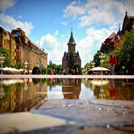 Timisoara